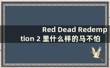 Red Dead Redemption 2 里什么样的马不怕枪（Red Dead Redemption 2 What kind of horse）